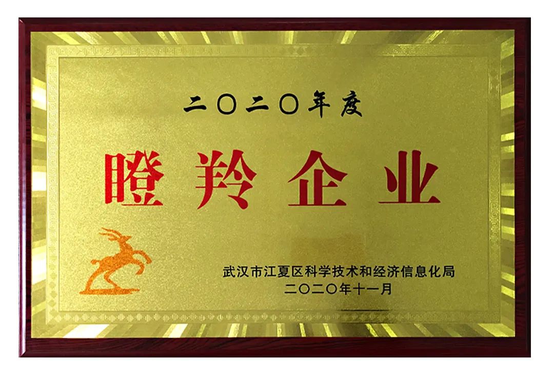 瞪羚企業.jpg